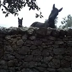 Bianca Lamia 3* Ostuni