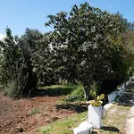 Bianca Lamia Casa de hóspedes