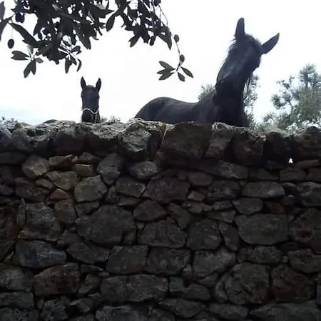 Bianca Lamia * Ostuni