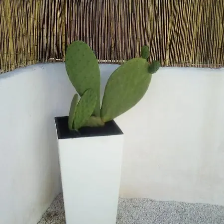 Bianca Lamia Guest house *