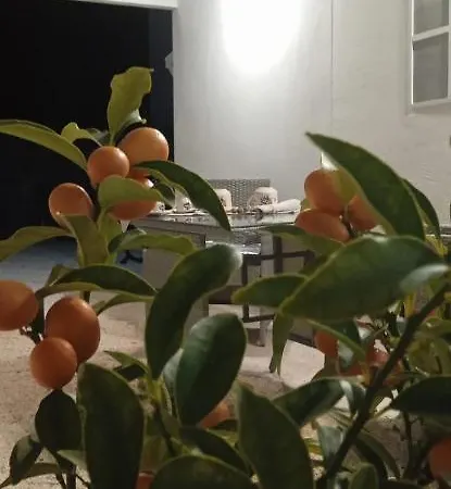 Bianca Lamia אוסטוני