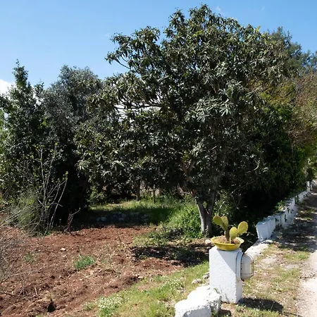 Bianca Lamia Konukevi